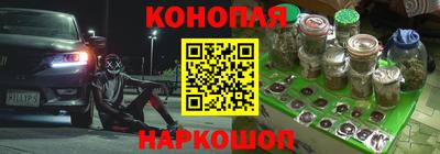 шишки Нарткала