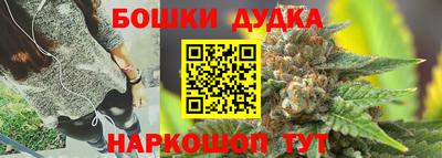 apvp Нальчик