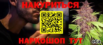 индика Наро-Фоминск