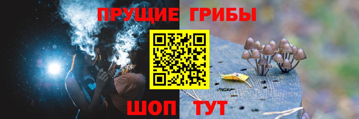 Шахты  Галлюциногенные грибы GOLDEN TEACHER  купить закладку  Вход с VPN 