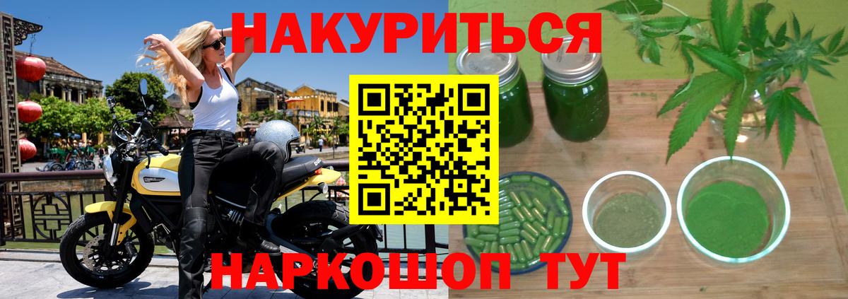 Конопля семена Шахты